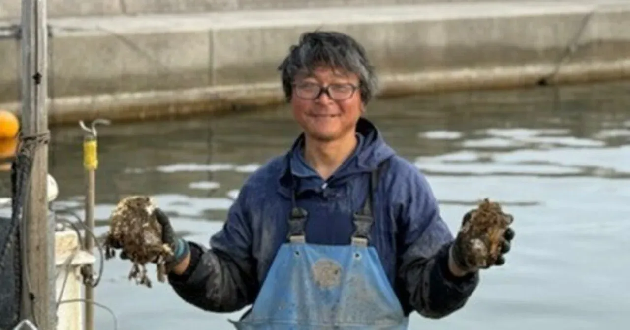 亡き父の遺志を継ぎ、穴水のカキのおいしさを広めたい“河端水産”