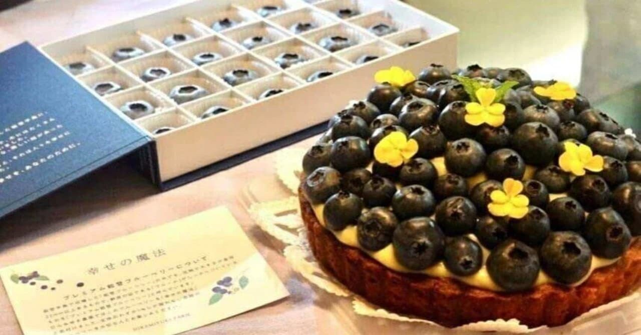 複復PJ活動事例：ひらみゆき農園／ブルーベリー販売戦略アドバイザー［活動レポート］