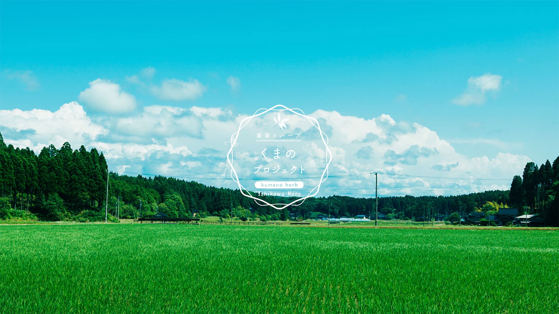 くまの地域づくり協議会の画像