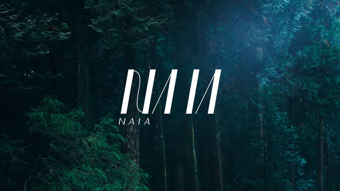 株式会社NAIAの画像