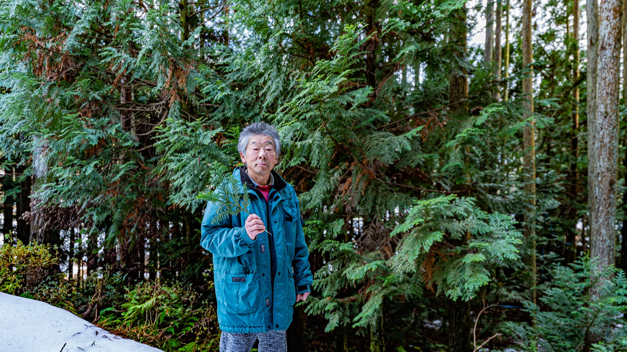 能登ヒバを愛する会の画像