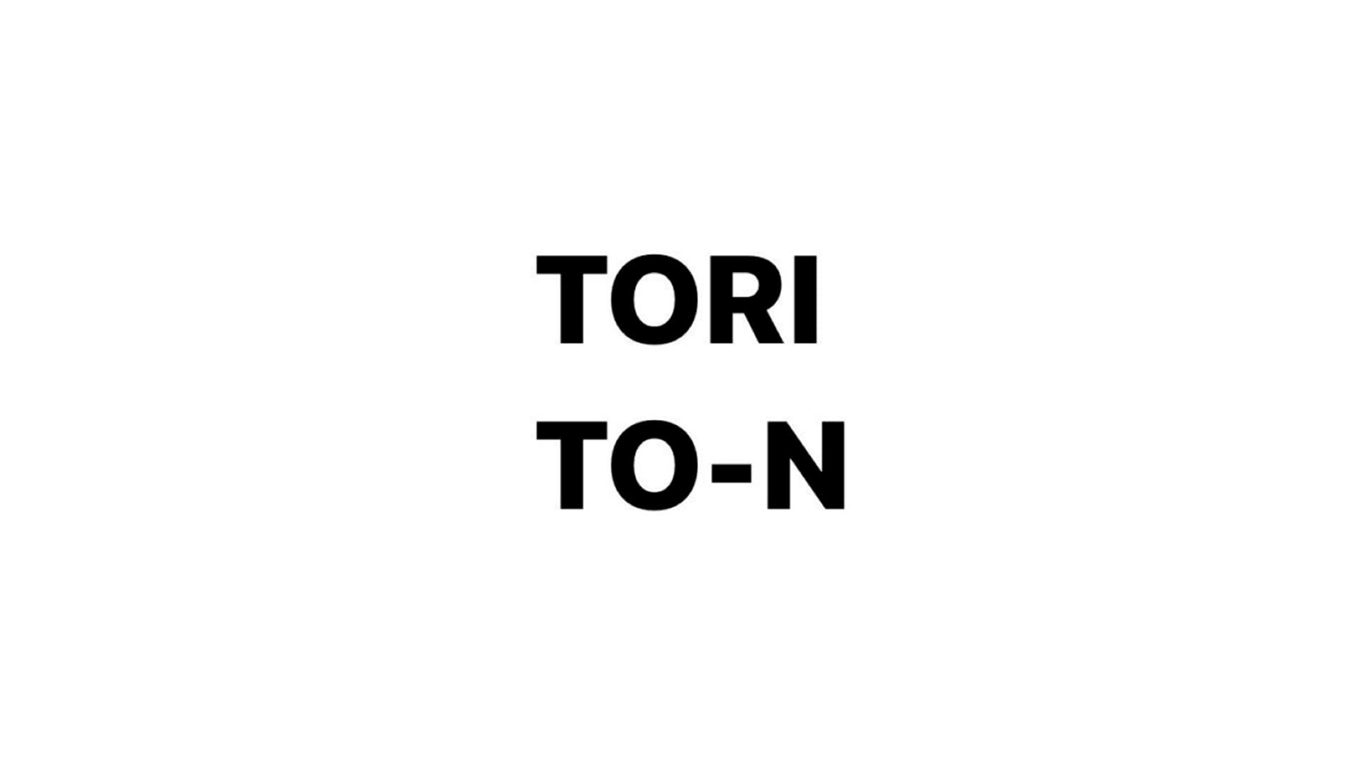 TORITO-N（トリトン）の画像