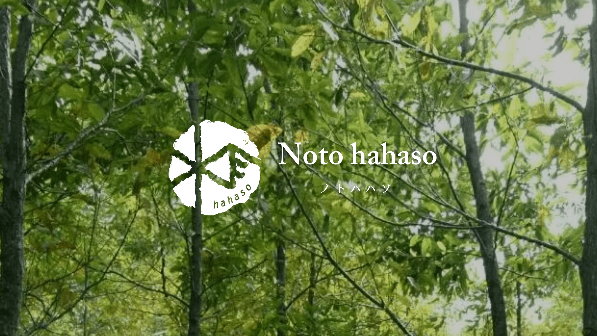 株式会社ノトハソソ